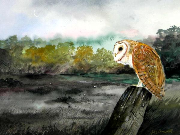 “Barn Owl”