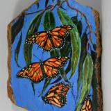 “Monarch Butterflies”