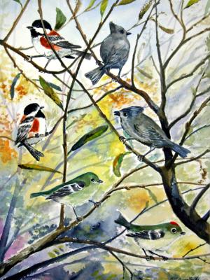 “Chestnut-backed Chickadees, Plain Titmice & Ruby-crowned Kinglets”