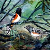 “Spotted Towhees”