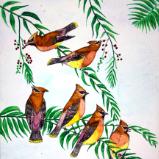 “Cedar Waxwings”