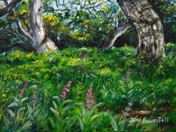 “Hummingbird Sage”