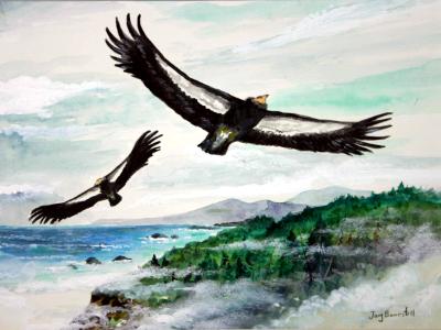 “Condors at Big Sur”