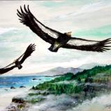 “Condors at Big Sur”