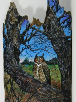 “Great Horned Owl”