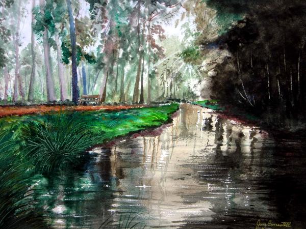 “Sweet Springs Nature Preserve”