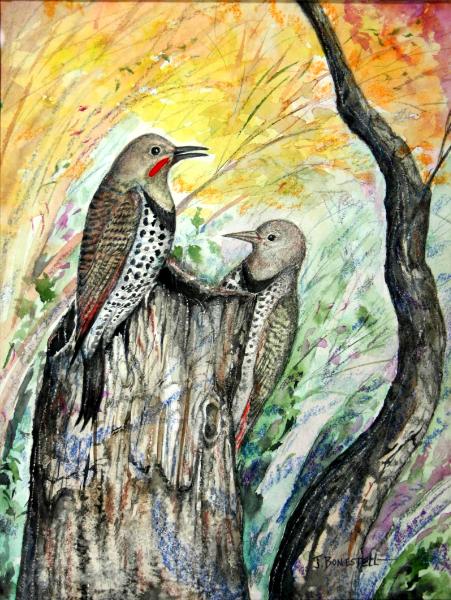 “Red-Shafted Flickers”