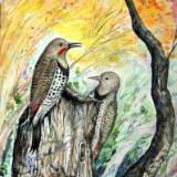 “Red-Shafted Flickers”